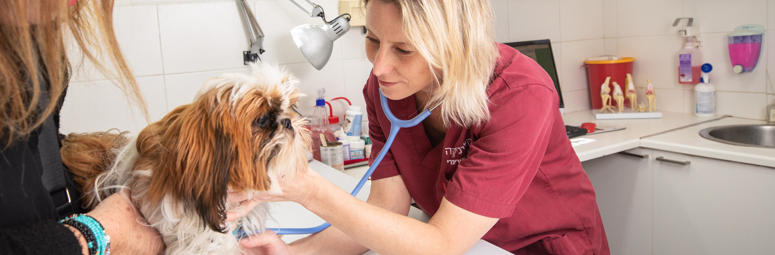 הקליניקה מרפאה וטרינרית בתל אביב