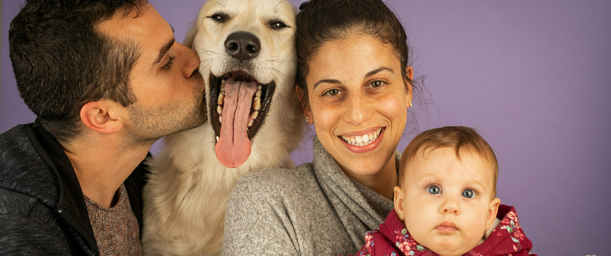 הכנה לקראת תינוק - על כלבים וילדים בבית