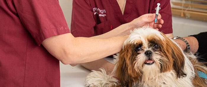 Img73 1 Aspect Ratio 1428 600